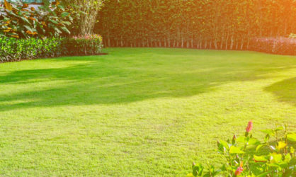 Lawn Care Products