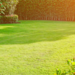 Lawn Care Products